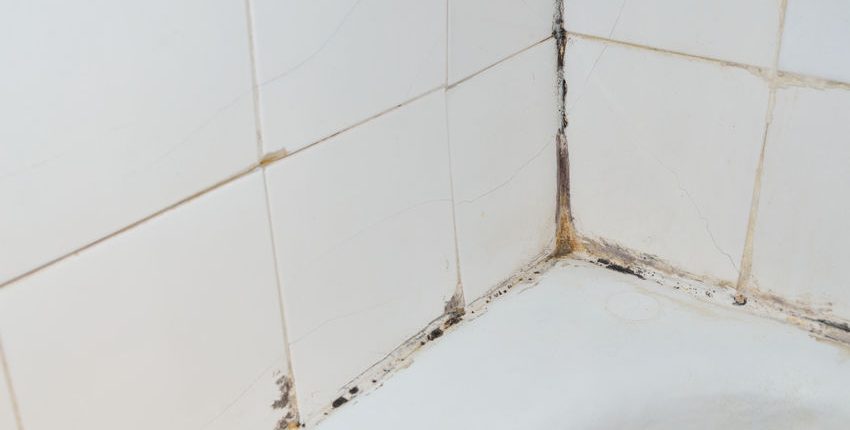 mold and scale on old bathroom walls