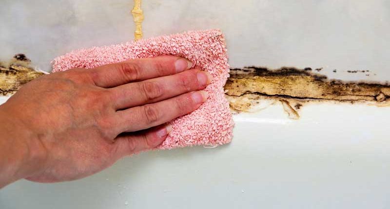 How to Remove and Prevent Bathroom Mold